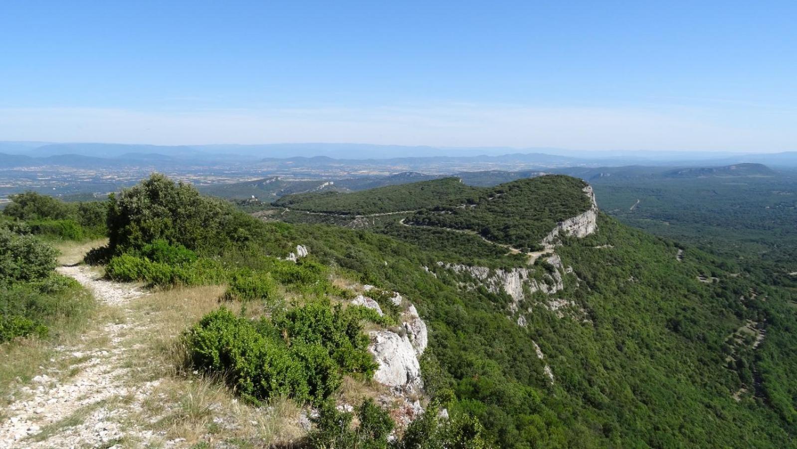 Appartamento Logis Dans Ancien Relais De Poste Saint Julien Les Rosiers Esterno foto